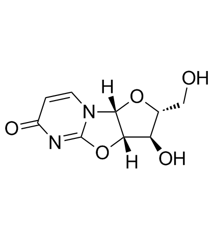 2,2'-Cyclouridine Structure