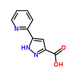 5-吡啶-2-基-1H-吡唑-3-羧酸图片