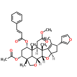 67023-81-8 structure