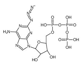 2-azidoadenosine 5'-triphosphate picture