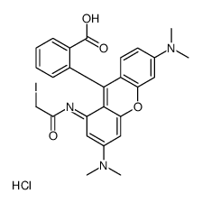 tetramethylrhodamine iodoacetamide picture