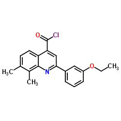 2-(3-Ethoxyphenyl)-7,8-dimethyl-4-quinolinecarbonyl chloride structure