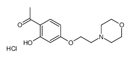 1-[2-hydroxy-4-(2-morpholin-4-ium-4-ylethoxy)phenyl]ethanone,chloride Structure