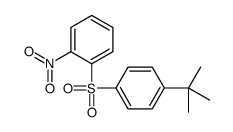 1-(4-tert-butylphenyl)sulfonyl-2-nitrobenzene结构式