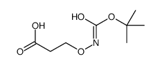 Propanoic acid, 3-[[[(1,1-dimethylethoxy)carbonyl]amino]oxy]- (9CI) picture