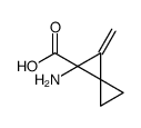 Spiro[2.2]pentanecarboxylic acid, 1-amino-2-methylene- (9CI) picture