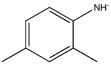 Benzenamine, 2,4-dimethyl-, ion(1-) (9CI) picture