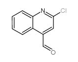 855613-24-0 structure