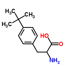 2-氨基-3-(4-(叔丁基)苯基)丙酸图片