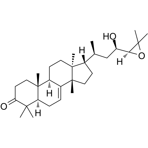 niloticin picture