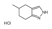 5-Methyl-4,5,6,7-tetrahydro-2H-indazole, HCl picture