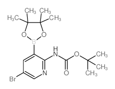 1263142-42-2 structure