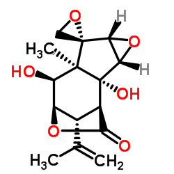 Tutin Structure