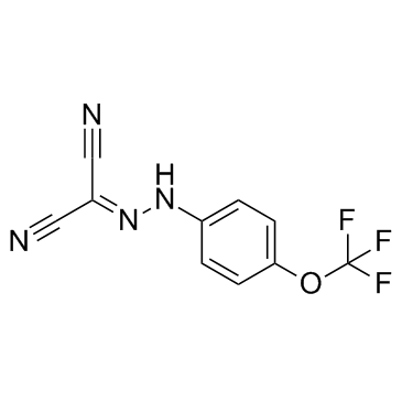 FCCP Structure