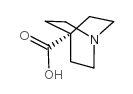 1-Azabicyclo(2,2,2)-octane-4-carboxylic acid Structure