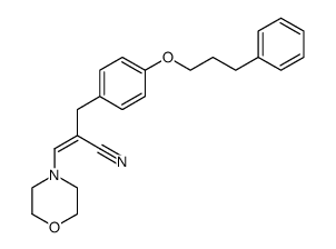 656810-60-5 structure