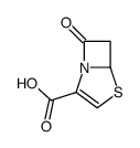 (5S)-7-oxo-4-thia-1-azabicyclo[3.2.0]hept-2-ene-2-carboxylic acid结构式