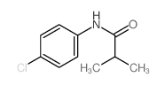 N-(4-chlorophenyl)-2-methyl-propanamide Structure