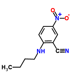 2-(Butylamino)-5-nitrobenzonitrile picture