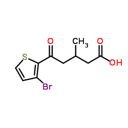 5-(3-Bromo-2-thienyl)-3-methyl-5-oxopentanoic acid图片