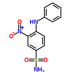 3-硝基-4-(苯氨基)苯磺酰胺图片