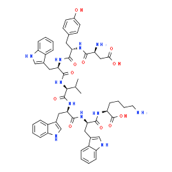 men 10456 Structure