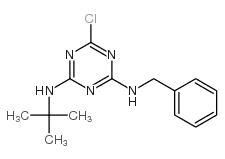 2-Benzylamino-4-tert-butylamino-6-chloro-s-triazine结构式