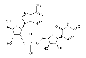 uridylyl-(5'->2')-adenosine Structure