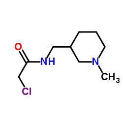 2-Chloro-N-[(1-methyl-3-piperidinyl)methyl]acetamide picture