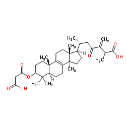 24(31)-Dehydrocarboxyacetylquercinic acid structure