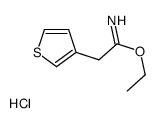 ethyl 2-thiophen-3-ylethanimidate,hydrochloride Structure