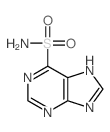 5H-purine-6-sulfonamide结构式