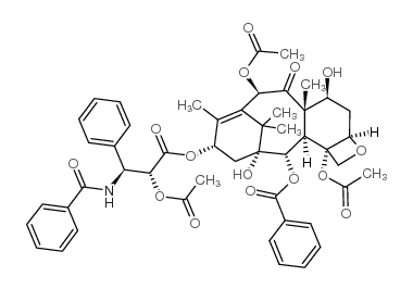 2'-acetyltaxol picture