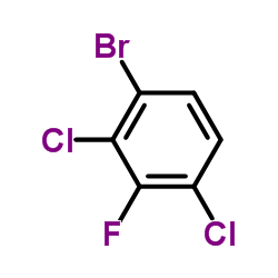 2,4-二氯-3-氟溴苯图片