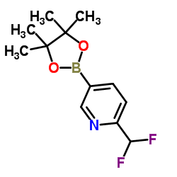 2-(Difluoromethyl)-5-(4,4,5,5-tetramethyl-1,3,2-dioxaborolan-2-yl)pyridine Structure