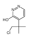 5-(1-chloro-2-methylpropan-2-yl)-1H-pyridazin-6-one Structure