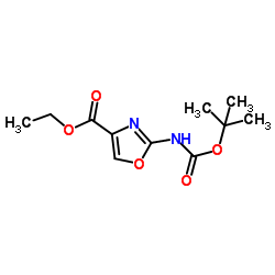 244236-51-9 structure