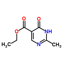 2-甲基-4-羟基嘧啶-5-羧酸乙酯图片