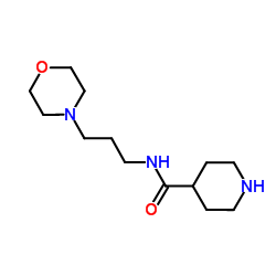 N-(3-morpholin-4-ylpropyl)piperidine-4-carboxamide Structure