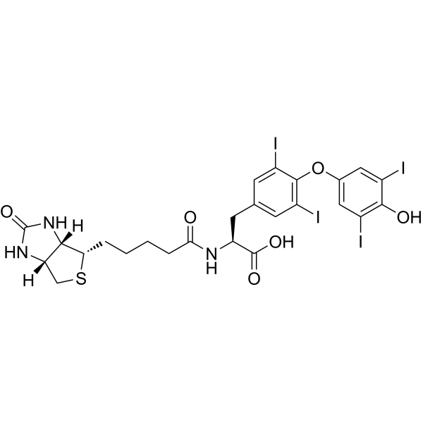 Biotin-(L-Thyroxine)结构式