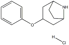 3-phenoxy-8-azabicyclo[3.2.1]octane hydrochloride structure