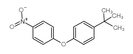 4-硝基-4’-叔丁基二苯醚结构式