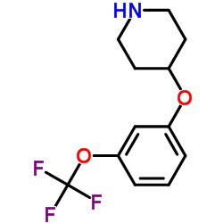 4-[3-(三氟甲氧基)苯氧基]哌啶图片