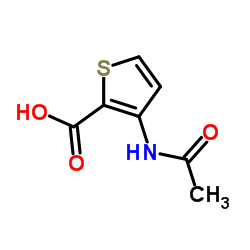 3-Acetamido-2-thiophenecarboxylic acid structure