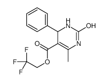 5613-33-2结构式