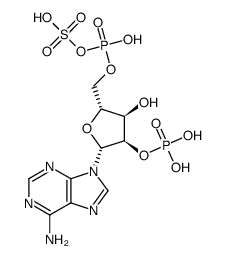 62230-89-1结构式