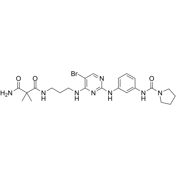 N-(3-(4-(3-(3-氨基-2,2-二甲基-3-氧代丙酰胺)丙基氨基)-5-溴嘧啶-2-基氨基)苯基)吡咯烷-1-羧酰胺结构式