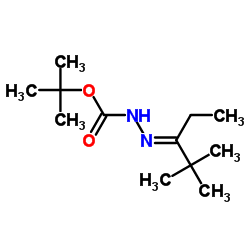 (E)-叔-丁基 2-(2,2-二甲基戊烷-3-亚基)肼甲酸酯结构式