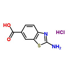 2-氨基苯并噻唑-6-甲酸盐酸盐图片