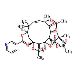 3-吡啶羧酸 (2S,3S,3AR,4R,6R,8R,10E,12R,13AR)-3,4,6,13A-四(乙酰氧基)-2,3,3A,4,5,6,7,8,9,12,13,13A-十二氢-2,9,9,12-四甲基-5-亚甲基-13-氧代-1H-环戊二烯并环十二碳六烯-8-基酯图片